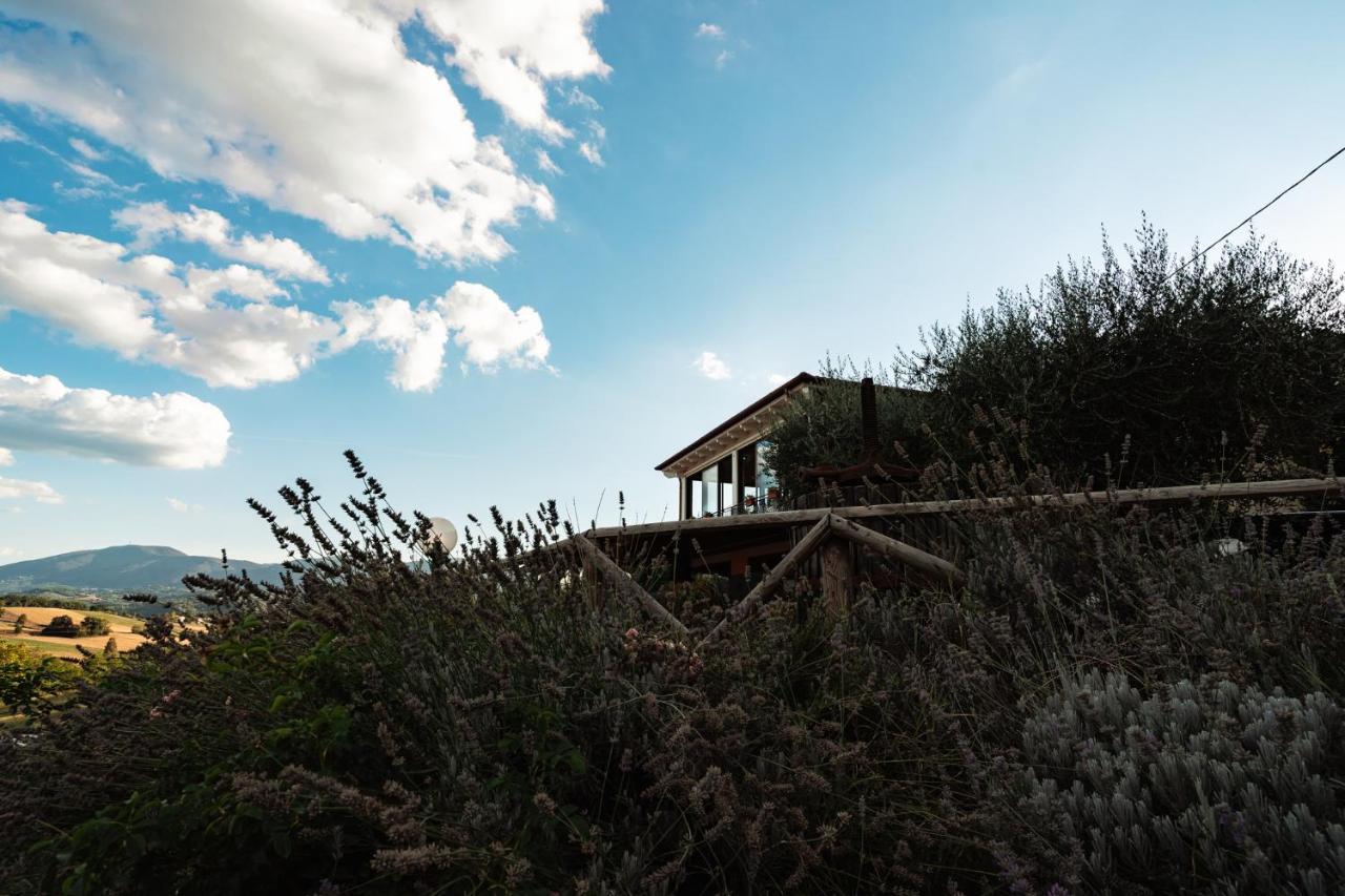 Il Pozzo Country House Collescipoli Exterior foto