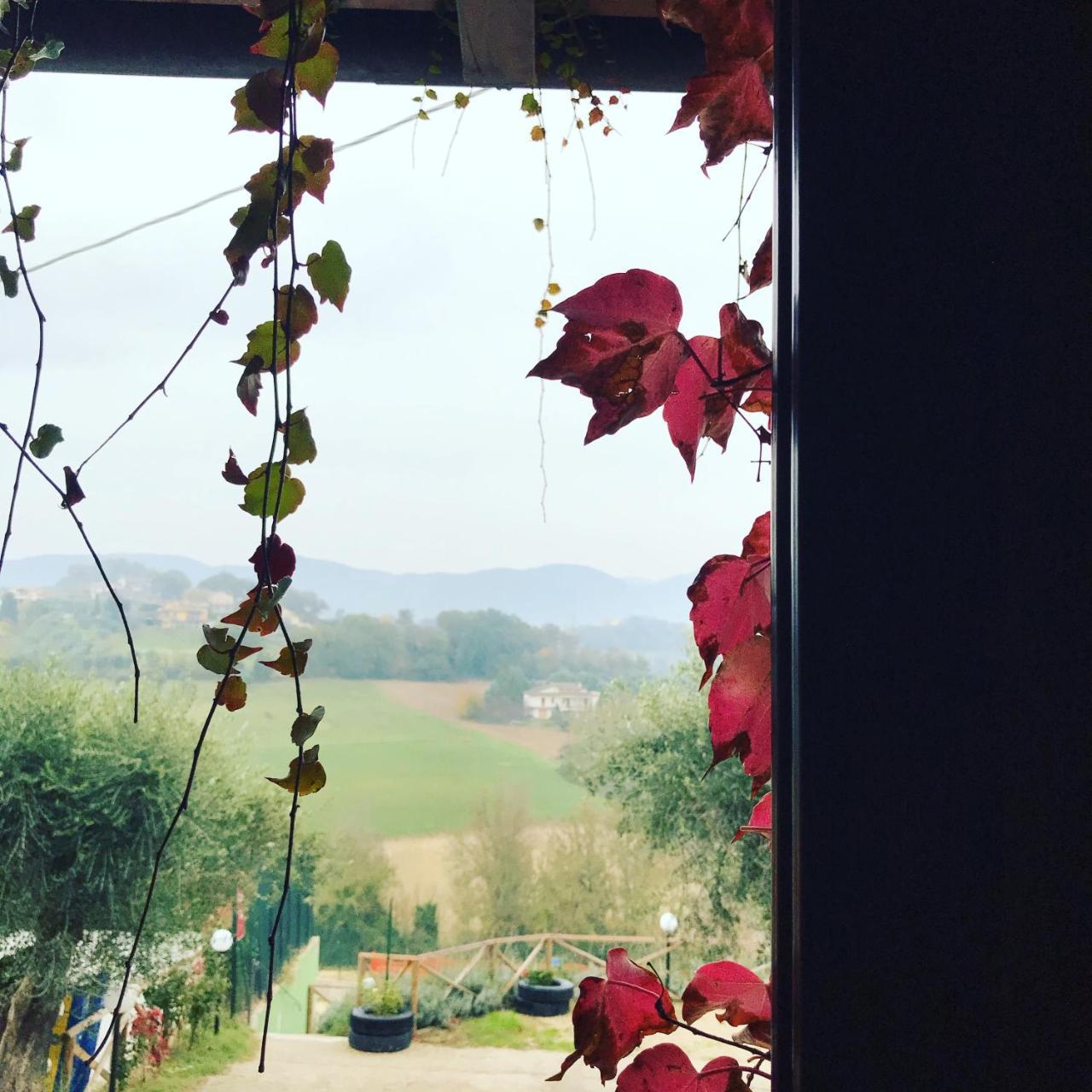 Il Pozzo Country House Collescipoli Exterior foto